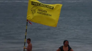 Fragata portuguesa El Quisco y Algarrobo