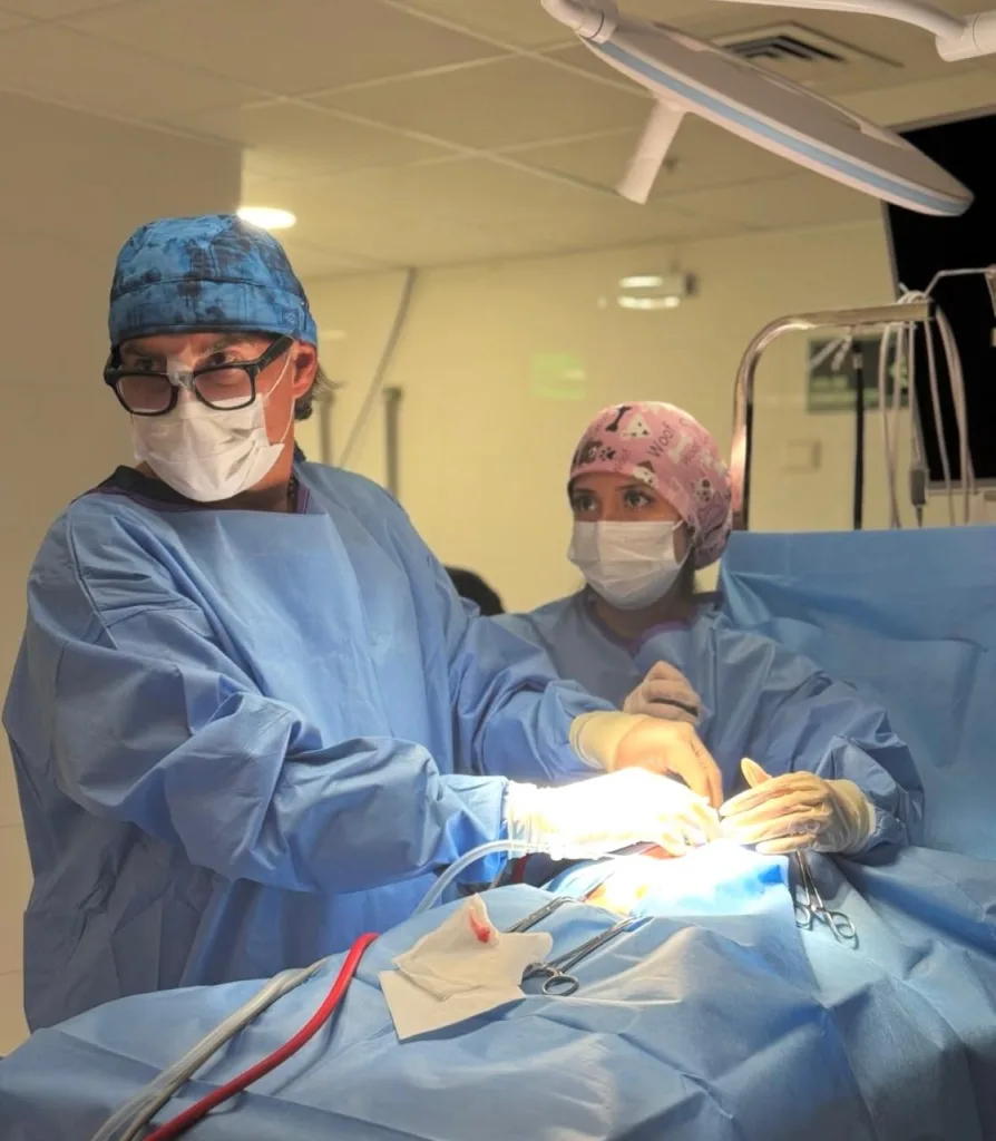 WhatsApp Image 2026 02 13 At 11.18.49