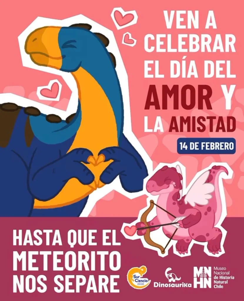 WhatsApp Image 2026 02 13 At 17.51.05