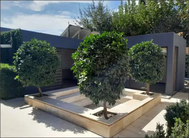 WhatsApp Image 2026 02 19 At 2.09.41 PM (1)