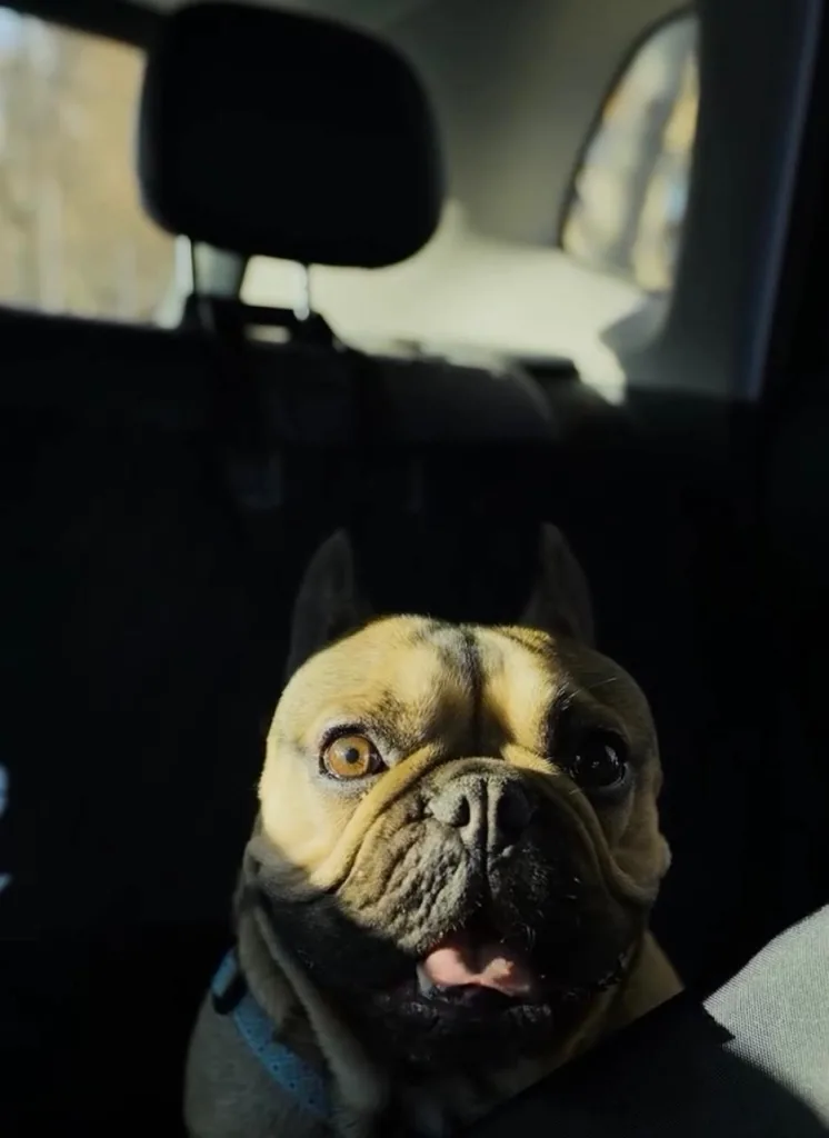 WhatsApp Image 2026 02 27 At 17.26.46 (1)