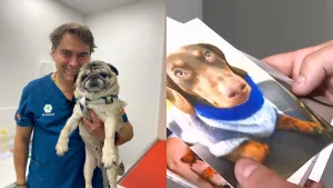 Sebastian Lindorfo Jimenez