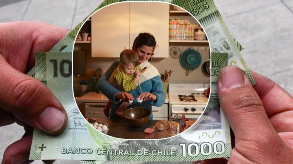 Aporte Familiar Permanente