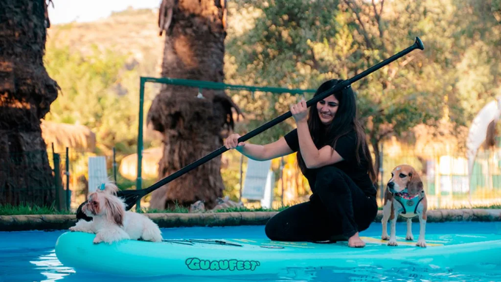 Panoramas para perros GuauFest