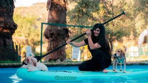 Panoramas para perros GuauFest