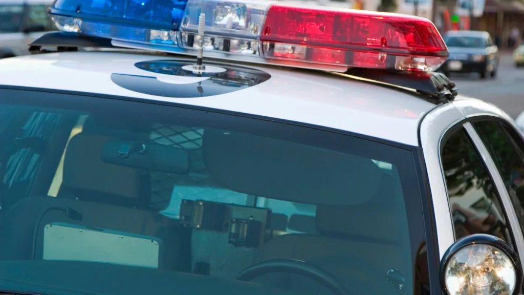 Cantante Britney Spears detenida