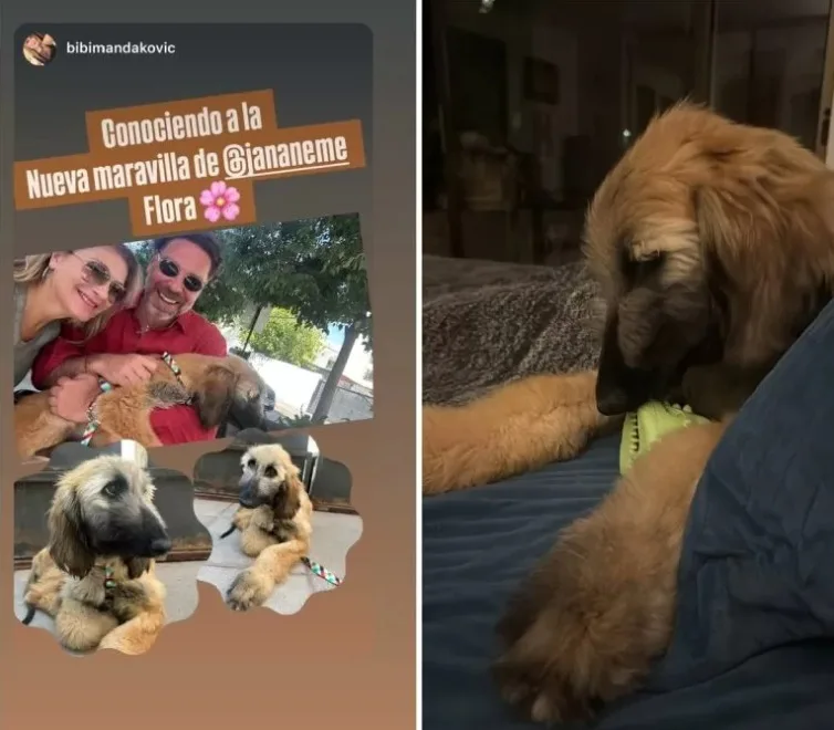 Image 2026 03 09T180915.801