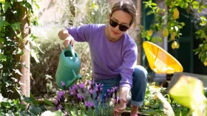 Plantas En Hogares Chilenos