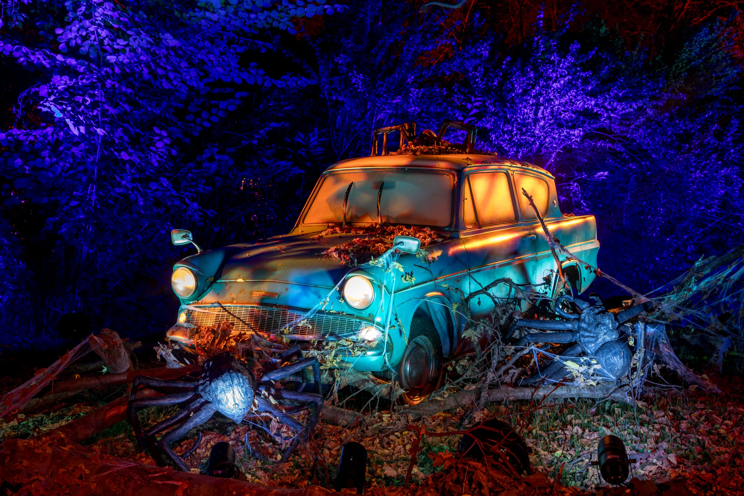 650399 606851 FORBIDDEN_FOREST_MONTAUBAN_GCOM_ 41 E4dceb Original 1755527313 A6c588 Original 1770646692