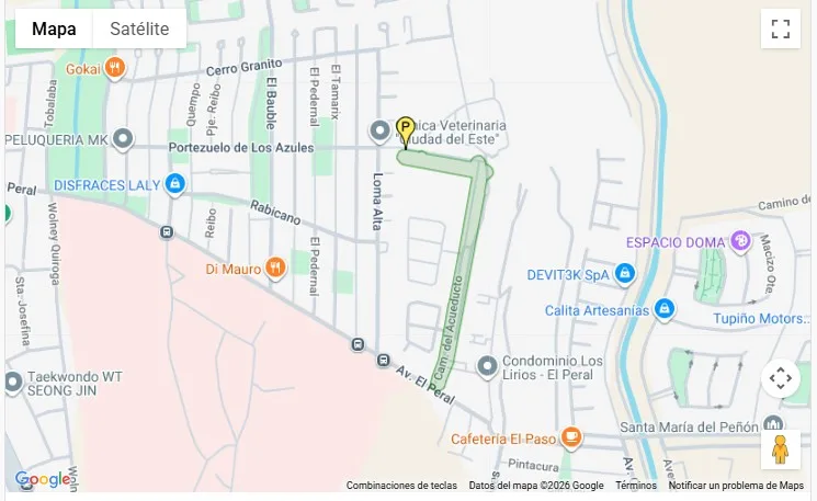 Corte de agua en Puente Alto