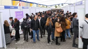 Ofertas De Empleo