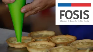 Proyecto Fosis Logo