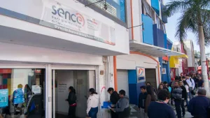 Subsidio Al Empleo