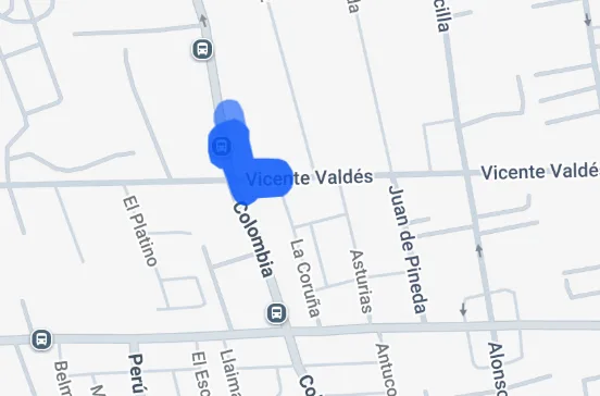 Vicente Valdes Corte