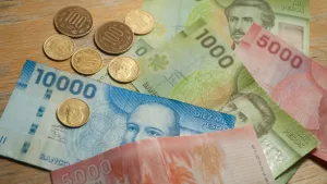 Bono Invierno 2026 Cómo Consultar Con Tu RUT Si Recibes El Pago De $81.257 (4)