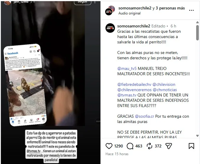 Denuncia Contra Manuel Trejo Por Presunto Maltrato Animal