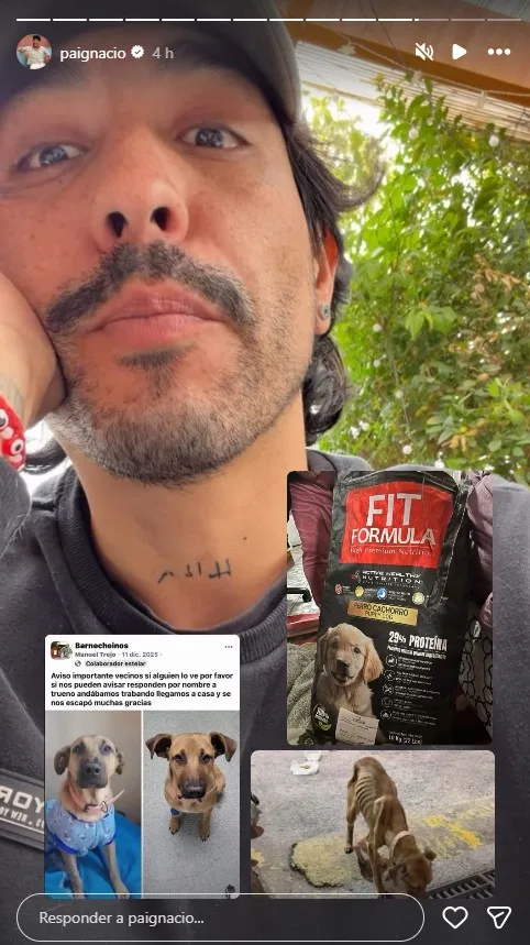 Pablo Candia Comienza Campaña De Ayuda Para El Perrito