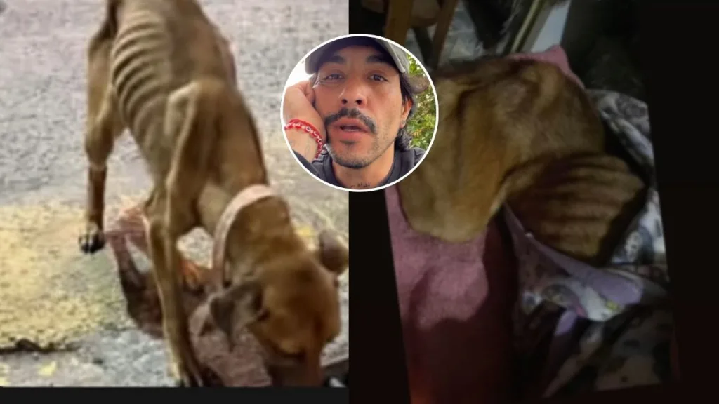 Pablo Candia Denuncia Maltrato Animal