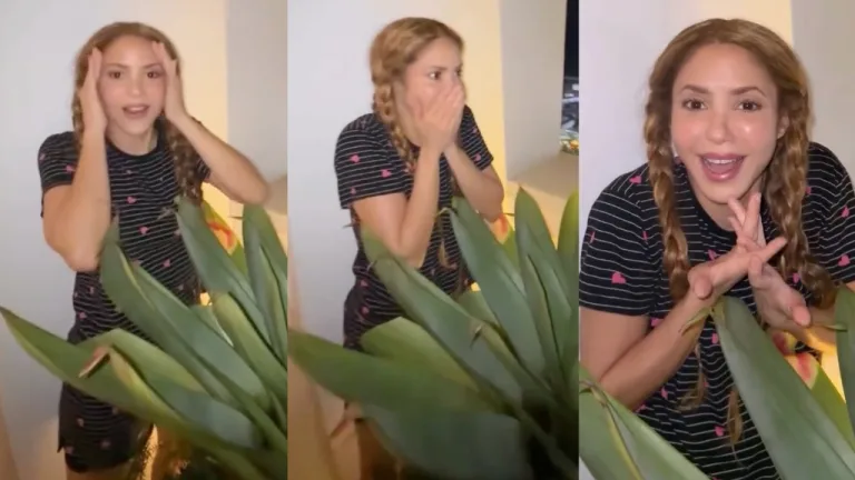 ¿Todos Están Aquí Por Mí Shakira Sorprendida Ante La Cantidad De Fans Que Se Reúnen En Las Afueras De Su Hotel En Copacabana