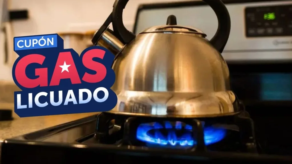 Cupón De Gas Subsidio De Gas