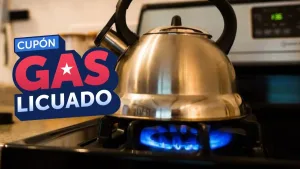 Cupón De Gas Subsidio De Gas