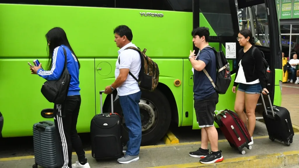 Buses