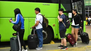 Buses
