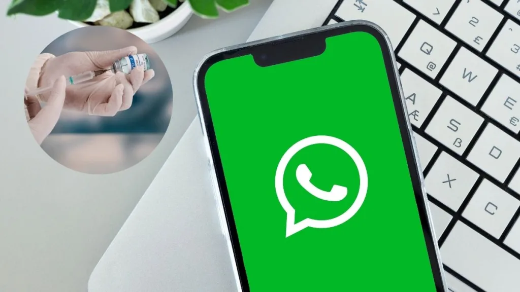 Vacunación Influenza WhatsApp Minsal