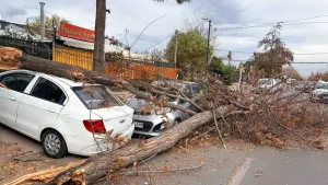 Corte De Luz Lluvias Sin Luz Lluvias