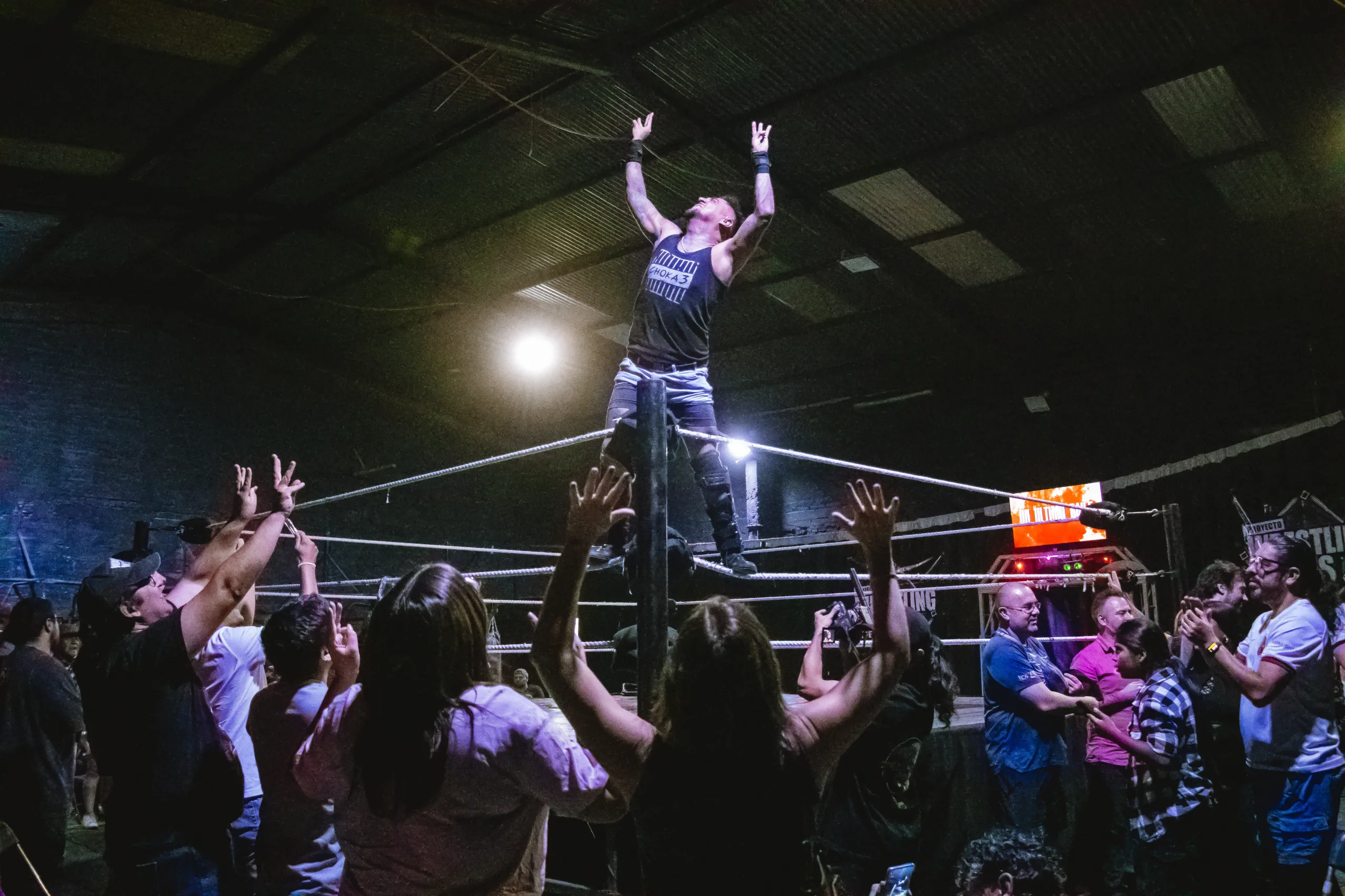 Wrestling Series