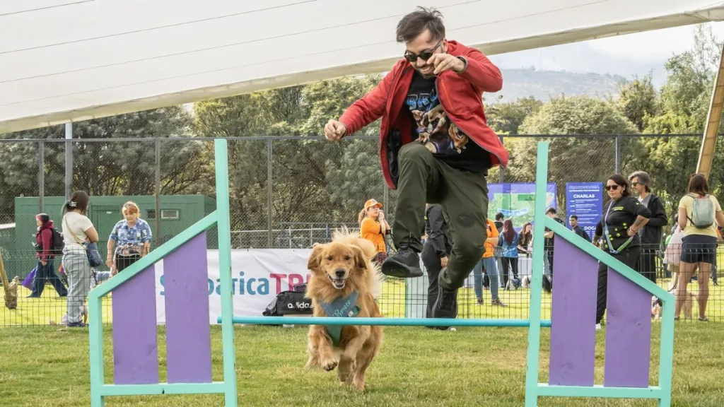 Parque De Diversiones Para Perros Chile