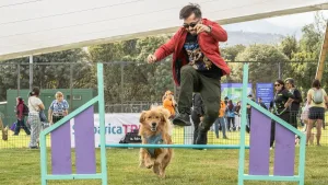 Parque De Diversiones Para Perros Chile
