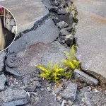 Latife Soto Predicciones Terremoto Chile