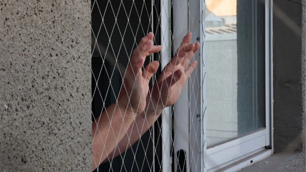 Mallas De Seguridad Ley Valentín