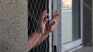 Mallas De Seguridad Ley Valentín