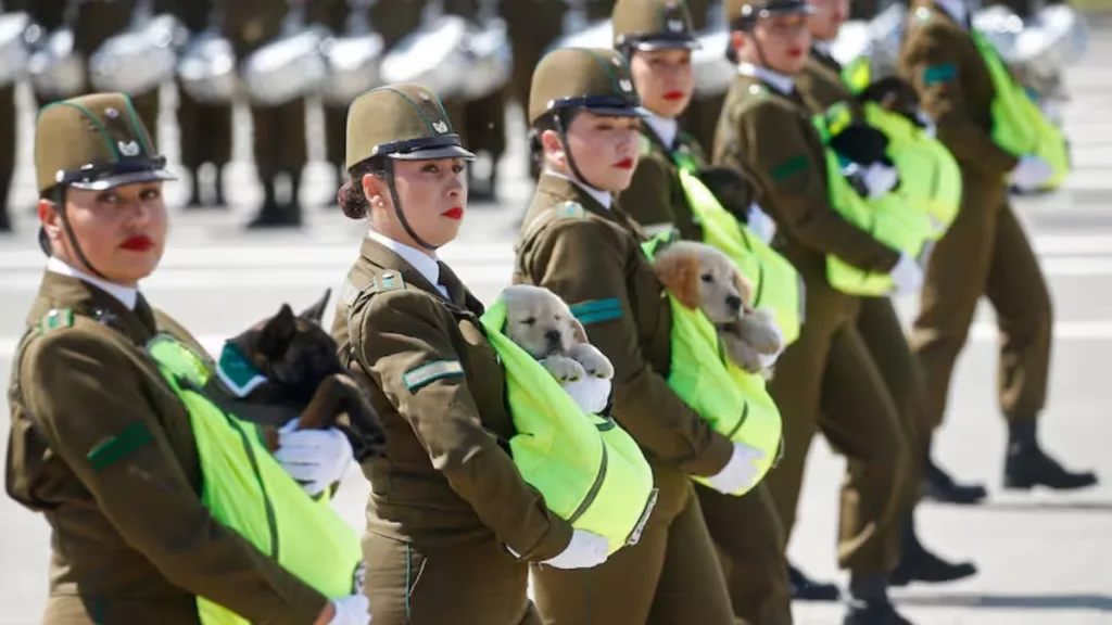 Parada Militar Novedades 2026