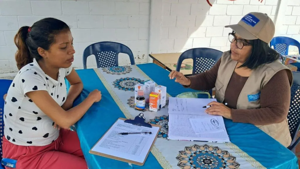 Suicidio En Adolescentes Chilenos