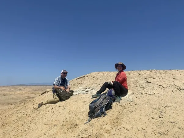 Hallazgo De Fósil De Capabira En La Región De Atacama. Investigación Liderada Por Académica UST Revela Que El Desierto De Atacama Fue Mucho Más Húmedo Hace 8,8 Millones De Años