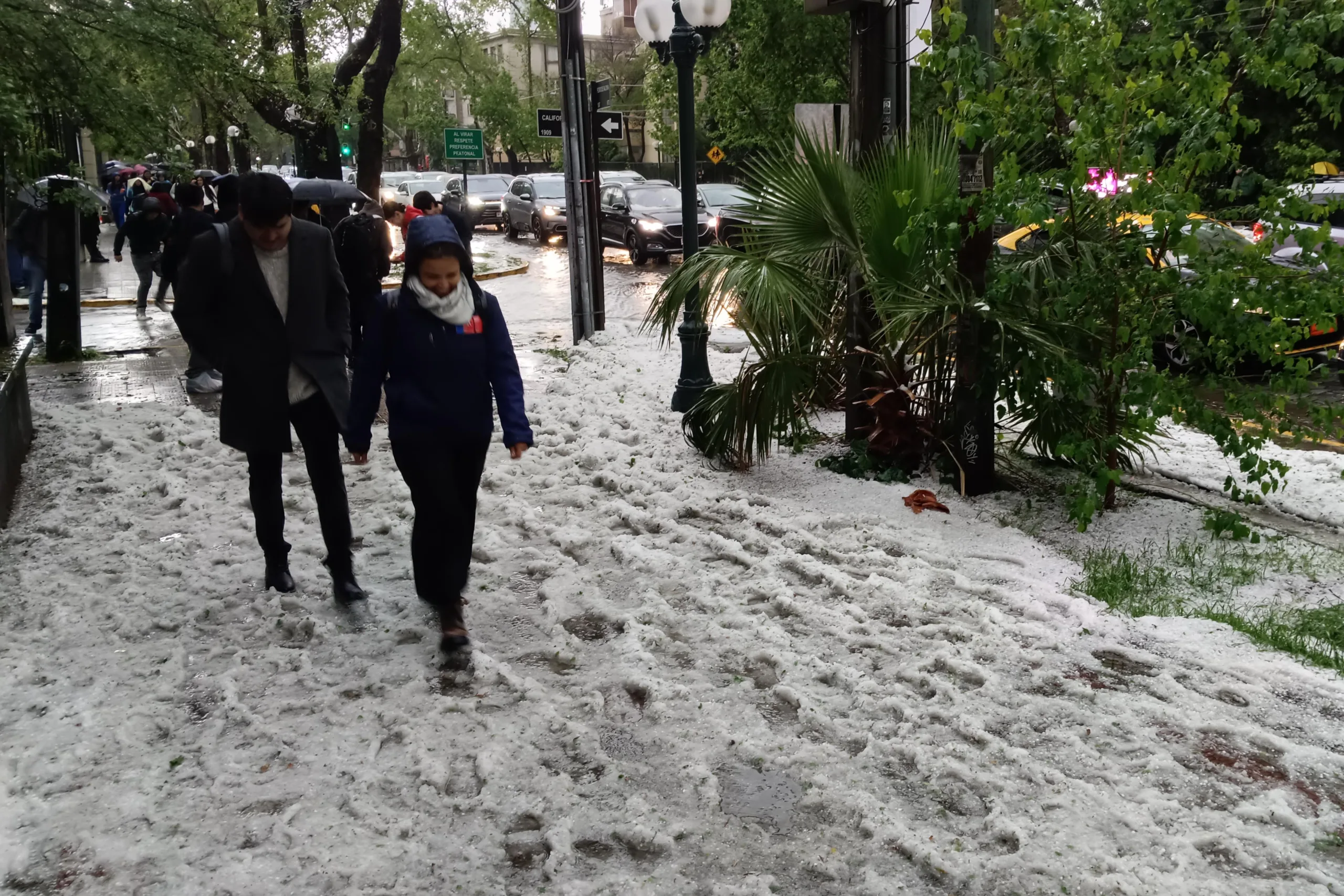 Ganizos En Providencia